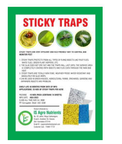 IS Fly Trap
