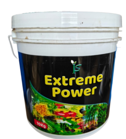 Extreme Power