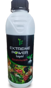 Extreme Power