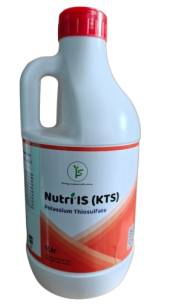KTS