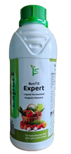 Expert
