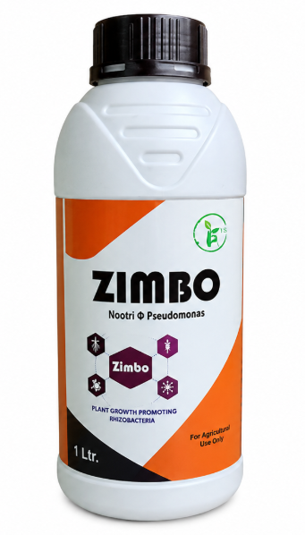 Zimbo