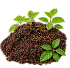 Organic Fertilizer