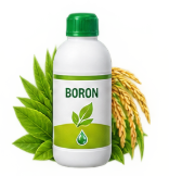 Boron Amino Acid
