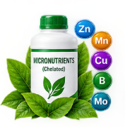 Beneficial Micronutrients