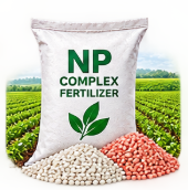 NP Complex Fertilizer